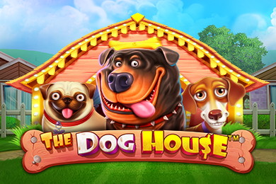 Играть в The Dog House Комета Казино